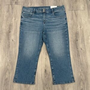 American Eagle Outfitters Casual Cropped Blue Denim Low Rise Artist Crop Jeans